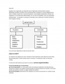 Unidades de medida. ¿Qué es medir?