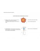 ¿Cuántas micras mide un espermatozoide y un ovulo?