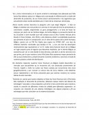 Estrategia de Crecimiento y Mecanismo de Control Santa Rita