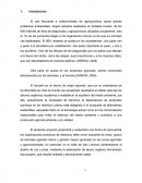 Prefactibilidad Bocashi