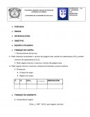 Práctica de levantamientos deflexiones