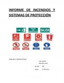 INFORME DE INCENDIOS Y SISTEMAS DE PROTECCIÓN