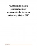 Analisis de macro segmentación y evaluacion de factores externos