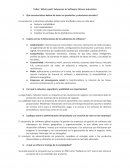 Ingenieria de Software