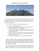 El cerro de la silla.