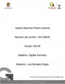 Pronosticos Capital Humano