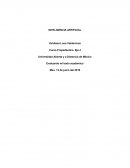 INTELIGENCIA ARTIFICIAL, como evoluciono la tecnología