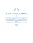 Principios y funciones de la prueba