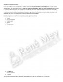 Lineamientos terapeuta voluntario