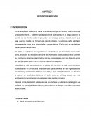 Proyecto empresarial. CAPITULO 1 ESTUDIO DE MERCADO