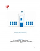 Diseño Organizacional - Hospital Hipolito Unanue