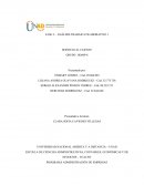 FASE 2 - ANÁLISIS TRABAJO COLABORATIVO 1