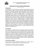 TOPOGRAFÍA APLICADA A OBRAS DE IRRIGACIONES
