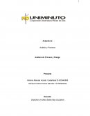 Analisis de Proceso de Riesgo
