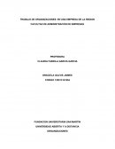 TRABAJO DE ORGANIZACIONES: EN UNA EMPRESA DE LA REGION