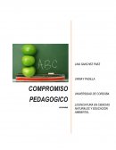 Actividad Compromiso psicopedagógico