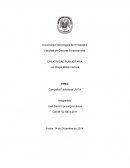 Campaña Publicitaria UVITA