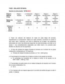 FASE I: BALANCE DE MASA