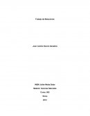 Trabajo de Mutaciones cuadro