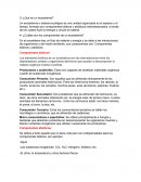 ¿Qué es un ecosistema?