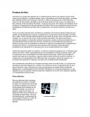 Fibras relacionadas a la criminalistica