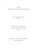 Actividad Desarrollar la guía de observación de realidades