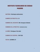 Petrologia sedimentaria