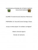 Ensayo zapata pelicuka