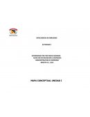 INTELIGENCIA DE MERCADOS ACTIVIDAD I