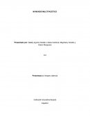 Mi mundo multifacetico