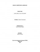 ENSAYO COMPETENCIS LABORALES