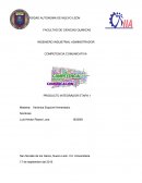 PRODUCTO INTEGRADOR ETAPA 1