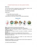 CARACTERÍSTICAS DE LOS SERES VIVOS. Características principales