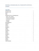 Desarrollo organizacional