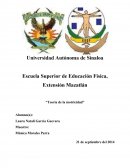 Teoría de la motricidad