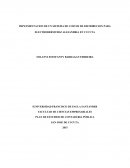 Implementacion de un sistema de costos