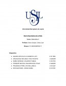 SIERRA EXPORTADORA: PAPA PROCESADA