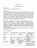 PRACTICA N°1 ACTIVIDAD ENZIMÁTICA