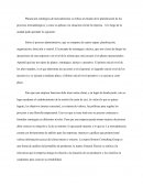 Ensayo lo aprendido de Planeación Estrategica de Mercadotecnia