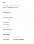 Actividad Used for words that star with a consonant