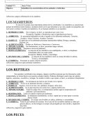 Identificar las características de los animales vertebrados