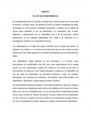 QUE HACE UN MATEMATICO