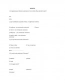 Idea de negocio E-GYM