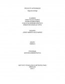 Ejemplo de proyecto integrador