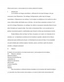 Observación macro y microscópica de la colonia aislada de levaduras