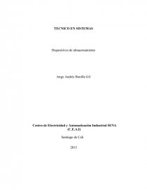TECNICO EN SISTEMAS Dispositivos de almacenamiento. Página 1