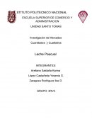 Investigación de Mercados Cuantitativa y Cualitativa Leche Pascual