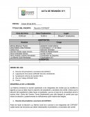 Comite paritario de seguridad y salud