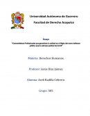 Características profesionales del defensor público: Garantía de calidad en el litigio