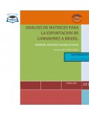 Exportación de camarones para el mercado de Brasil